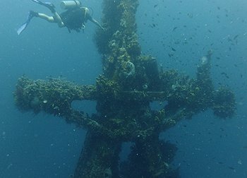 speciality diving courses